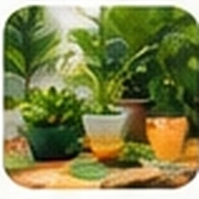Garden & Nature